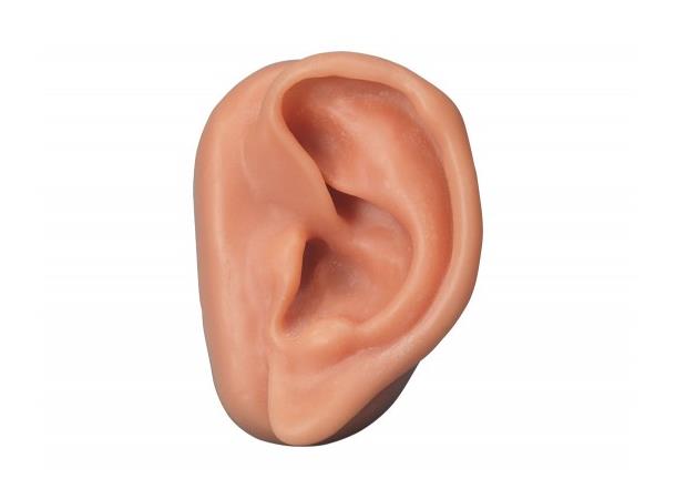 Akupunkturøre modell Venstre øre